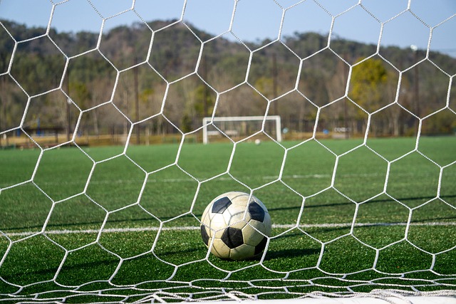 引入高水平 引入高水平