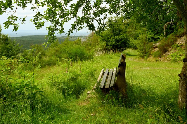 次次经典过 次次经典过