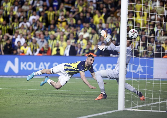 势将如何影 势将如何影